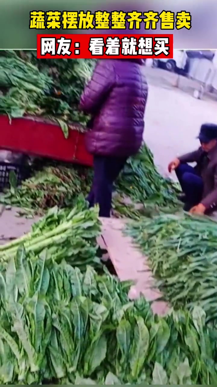 蔬菜摆放整整齐齐摆摊售卖!网友:这么整齐看着就想买!