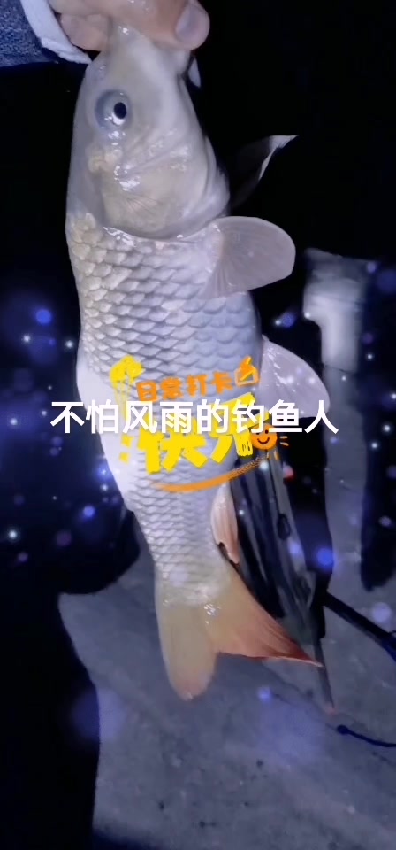 喜欢夜钩的钩鱼人啊