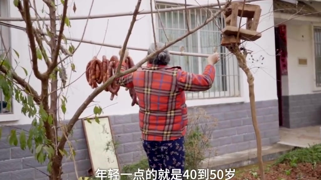 【川大毕业生返乡带全村熏腊肉年销1000吨,用柏树丫熏出来的更好吃】 四川德阳富强村一直有