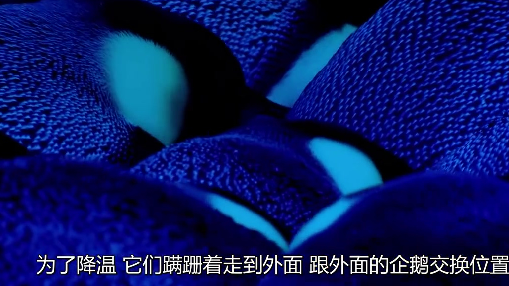 零下40度的南极洲,暴风雪袭击着企鹅群,一只企鹅宝宝跌跌撞撞地寻找自己的妈妈。它的皮毛无法