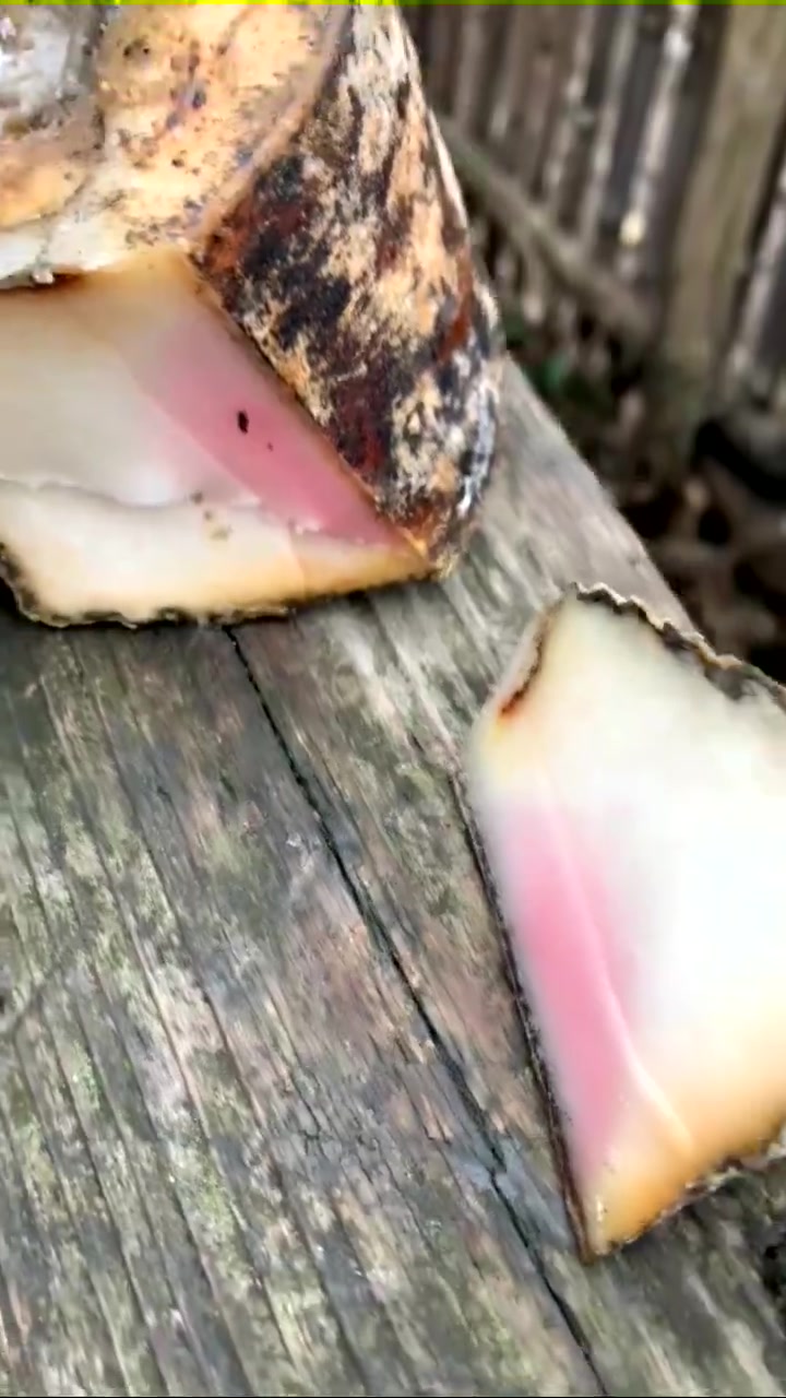 外似朽木内若桃花,梁上一挂成就美味,开化白腊肉能有多好吃?