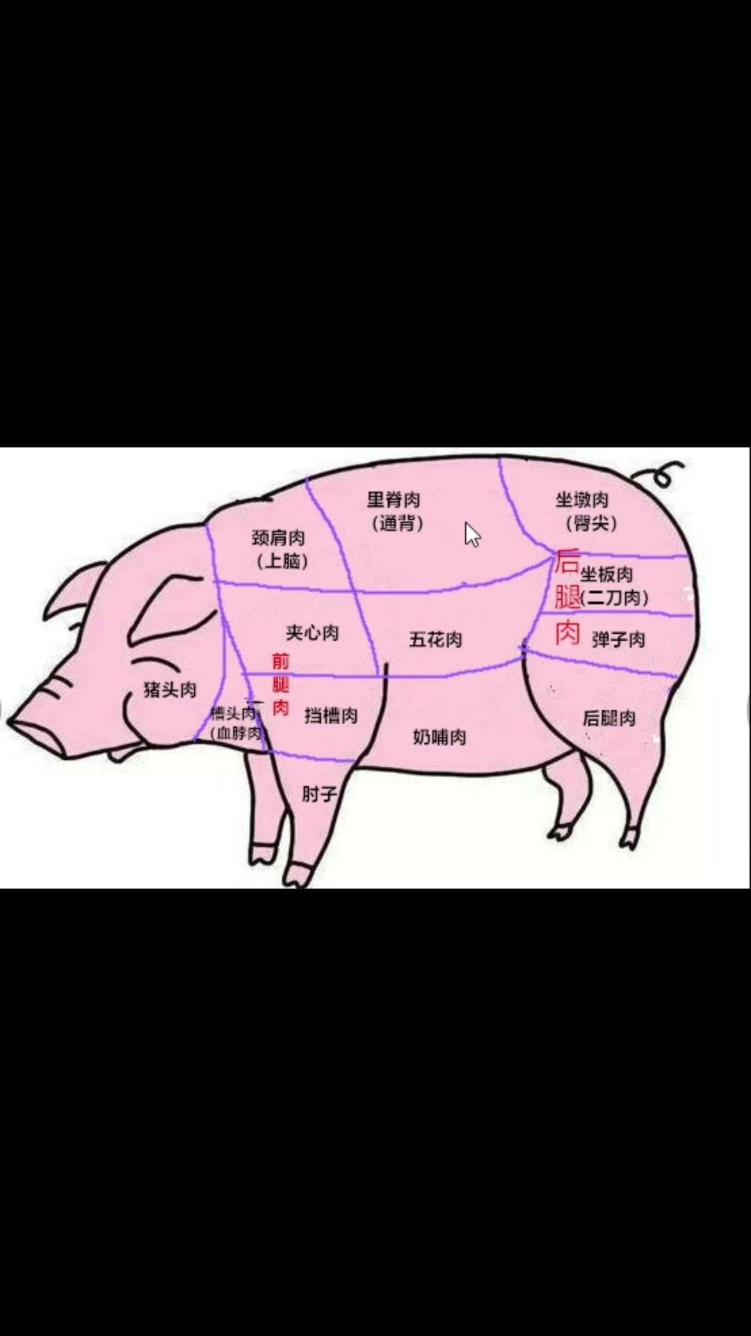 王三台详解猪肉常见部位的肉质和用法(附猪肉分割图)