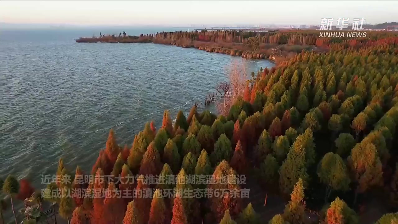 【宛如画作的昆明湿地】冬日暖阳照耀下,滇池边上的昆明捞鱼河湿地公园宛如一幅美丽的天然画作,