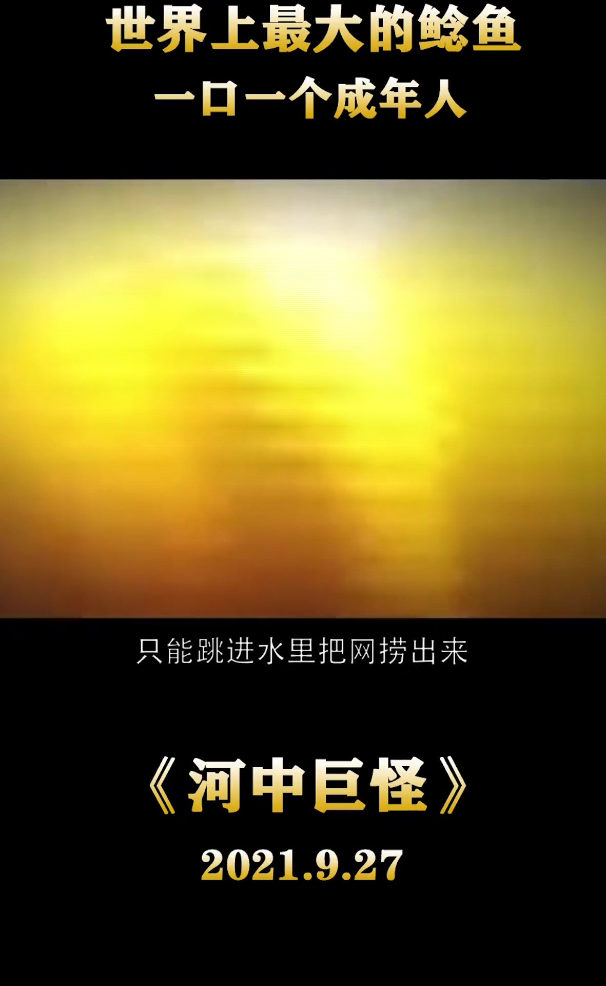 究竟是什么样的一种鲶鱼,大到可以吞人