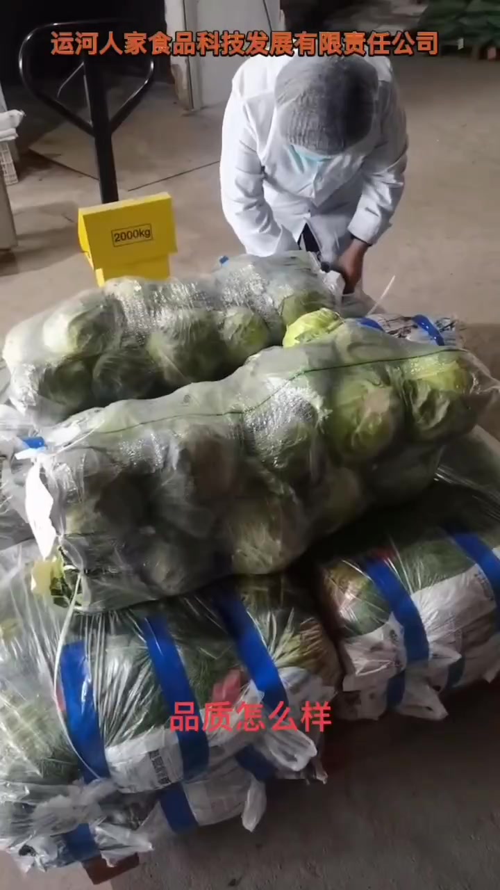 水饺厂蔬菜采购标准
