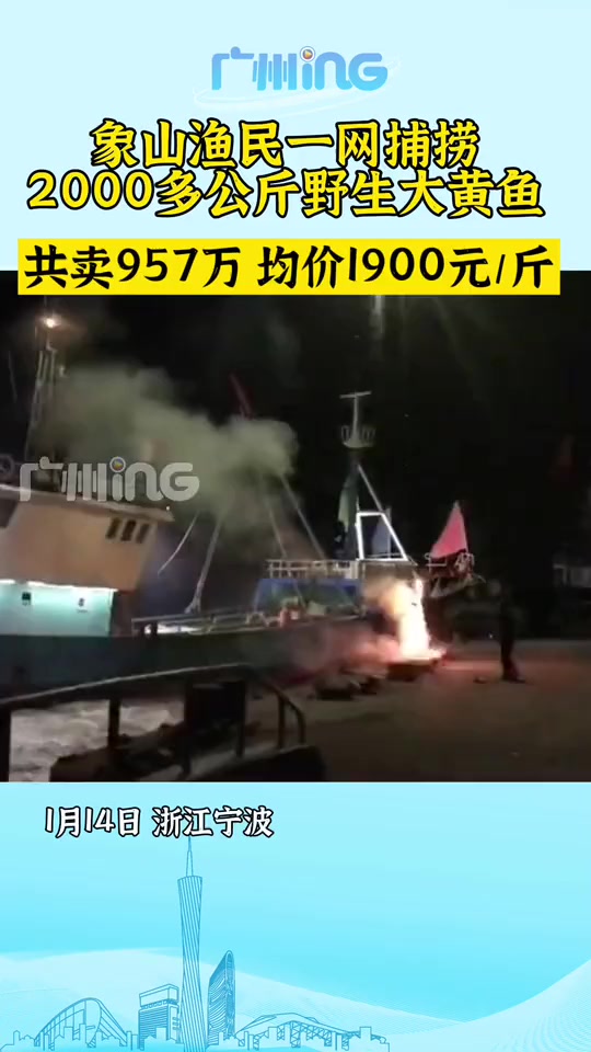大丰收!渔民说他们从来没捕到这么多的野生大黄鱼