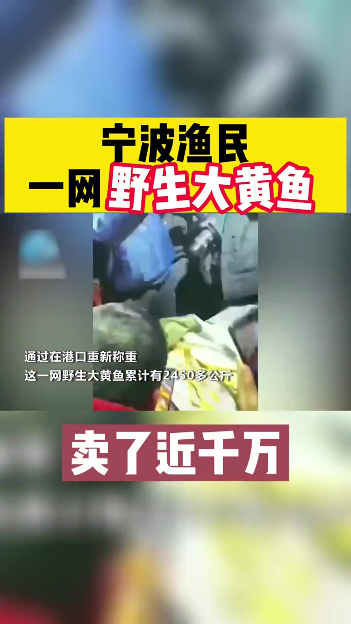 宁波野生大黄鱼卖了近千万