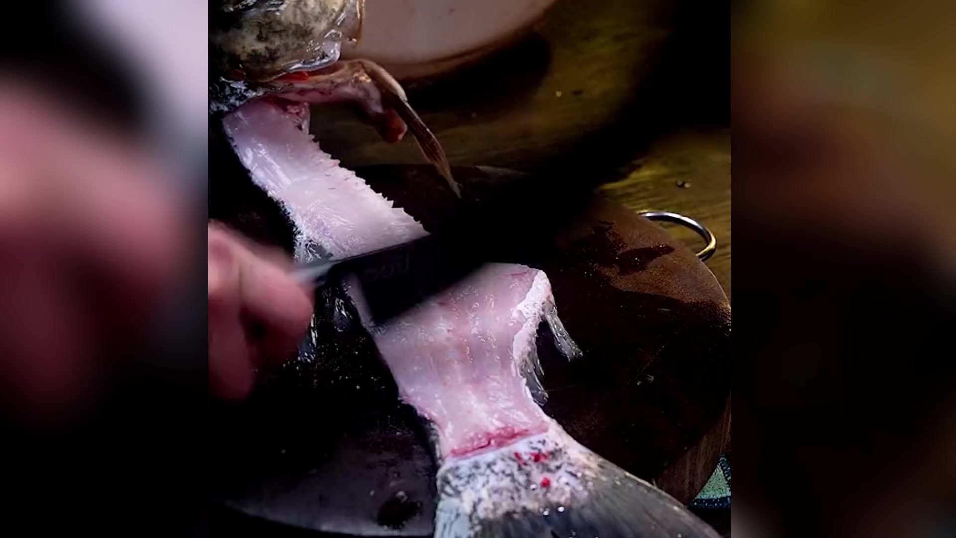 伙伴们,年夜饭一定要吃鱼,有汤有肉的酸菜鱼!