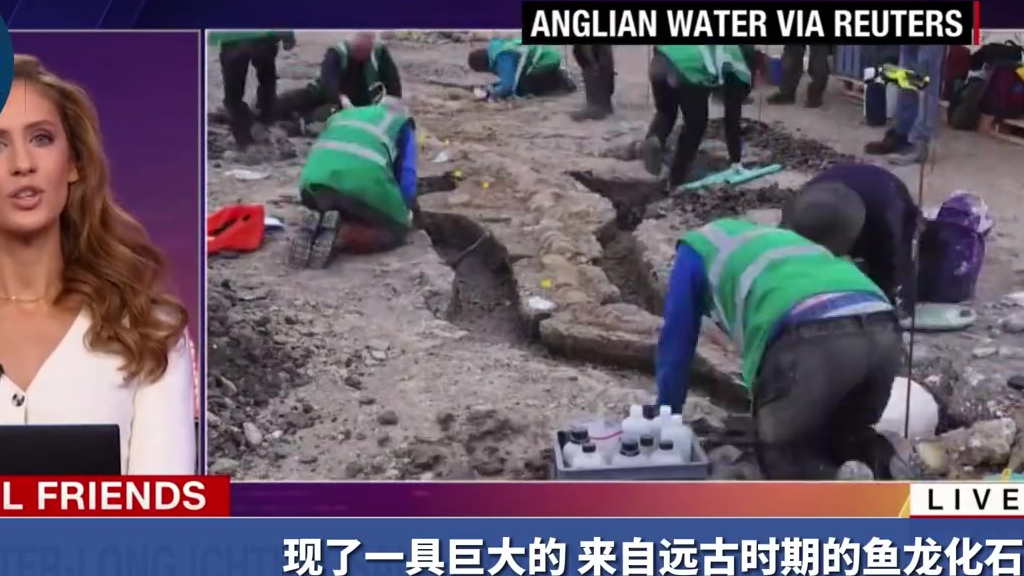 #全球正发生# 【英国发现1.8亿年前巨大鱼龙化石 保存完美】据美国有线电视新闻网(CNN