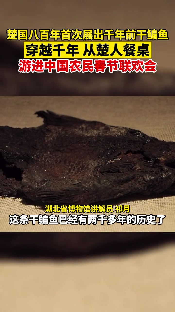 楚国八百年首次展出千年前干扁鱼,穿越千年从楚人餐桌游进中国农民春节联欢会。小年团的就是那个