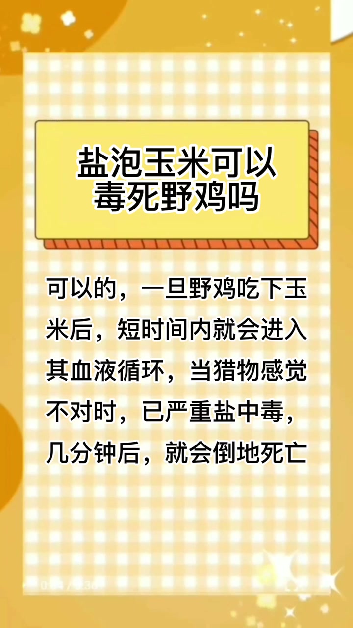 盐泡玉米可以毒死野鸡吗