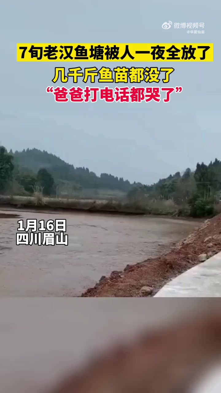 四川眉山1月16日,7旬老人鱼塘被人一夜全放了,几千斤鱼苗都没了…&nbsp;