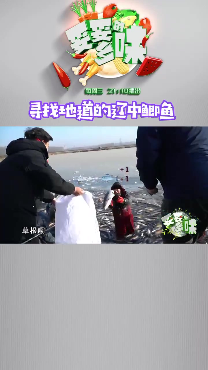 【寻找地道的辽中鲫鱼】有着东北第一国家生态县美誉的辽中现有淡水鱼养殖面积五万亩,产鱼六万吨