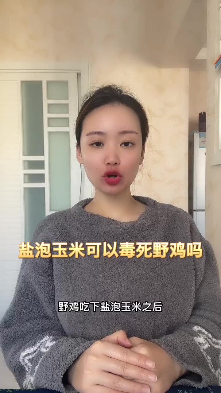 盐泡玉米可以毒死野鸡吗