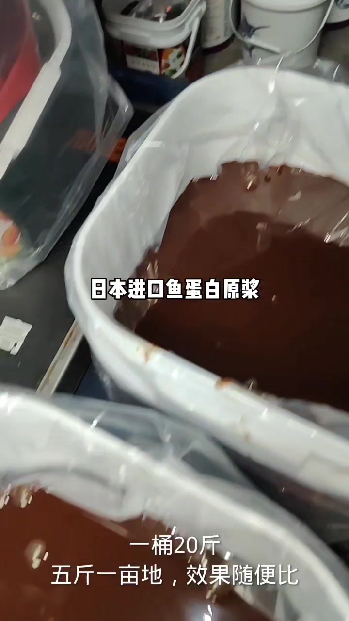 真正的日本进口鱼蛋白原浆