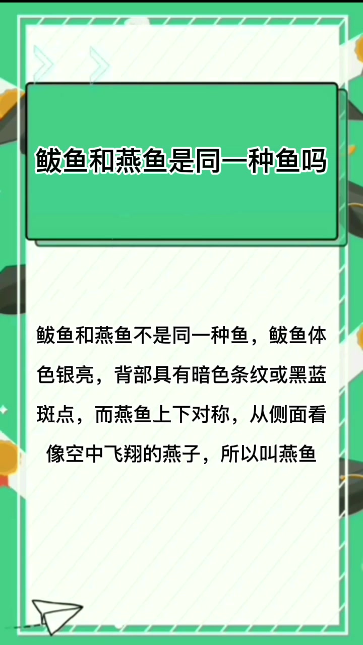 鲅鱼和燕鱼是同一种鱼吗