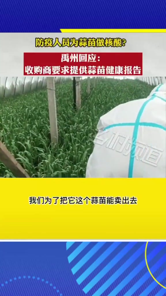 防疫人员为蒜苗做核酸?禹州回应:收购商要求提供蒜苗健康报告。硬核 核酸检测 共同助力疫情防