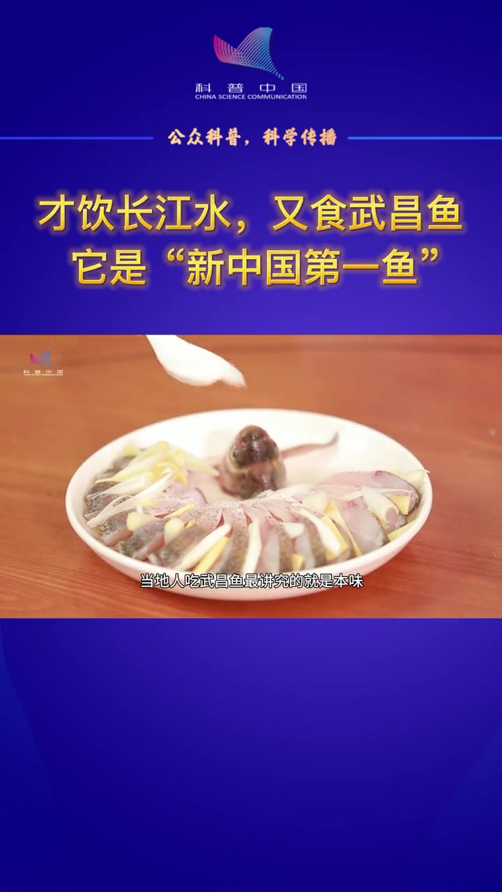 武昌鱼:大国渔业系列科普——才饮长江水,又食武昌鱼,它是“新中国第一鱼”