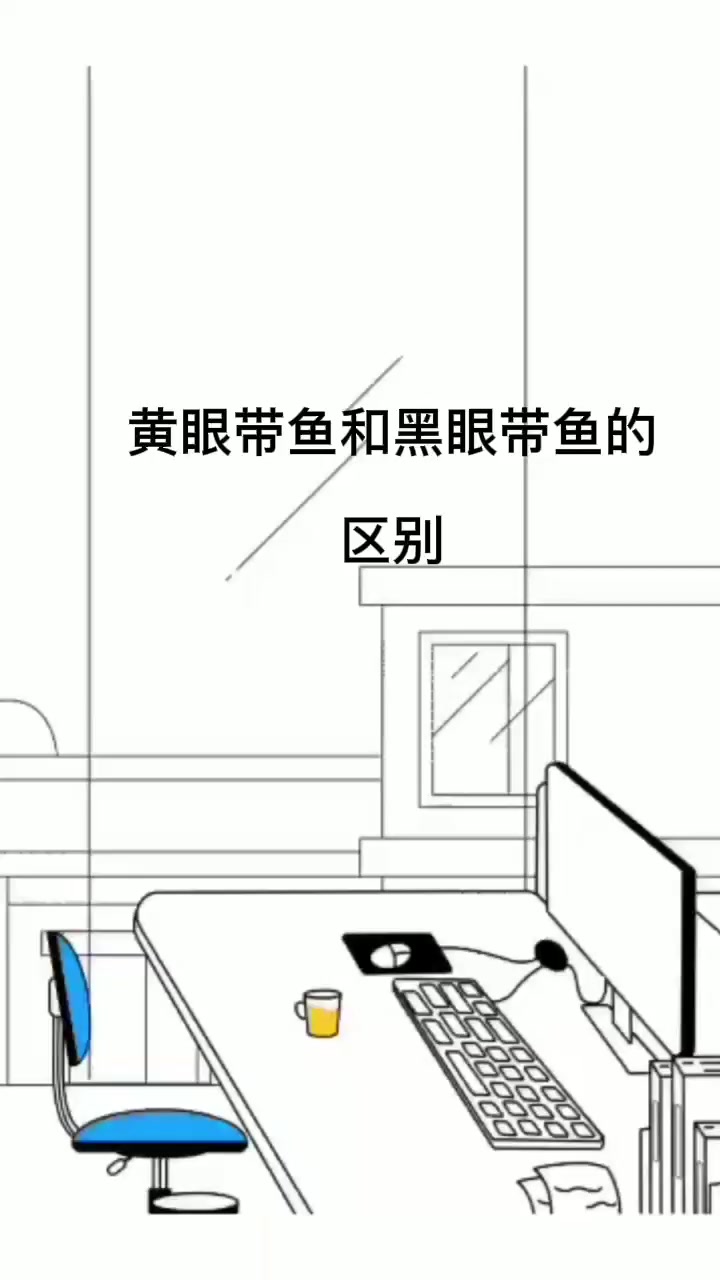黄眼带鱼和黑眼带鱼的区别