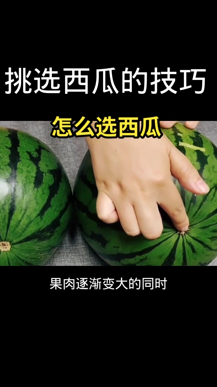 怎么选西瓜   