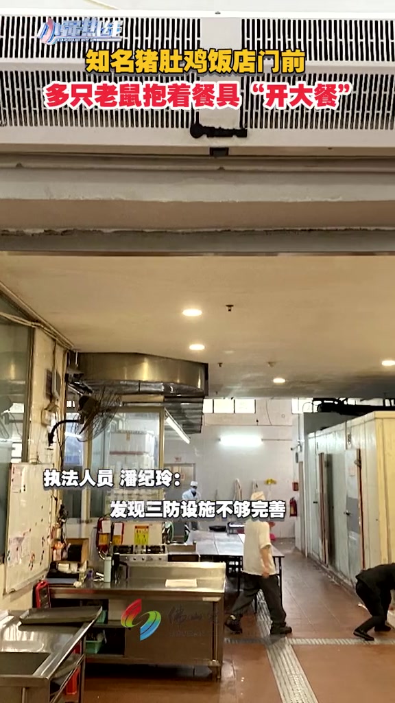 佛山知名猪肚鸡饭店门前,多只老鼠抱着餐具“开大餐”,市监检查发现……食品安全