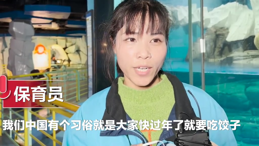 【新春海洋馆给北极熊准备1米大饺子:胡萝卜牛肉馅 饺子皮里加鸡蛋】1月30日,湖北武汉,武