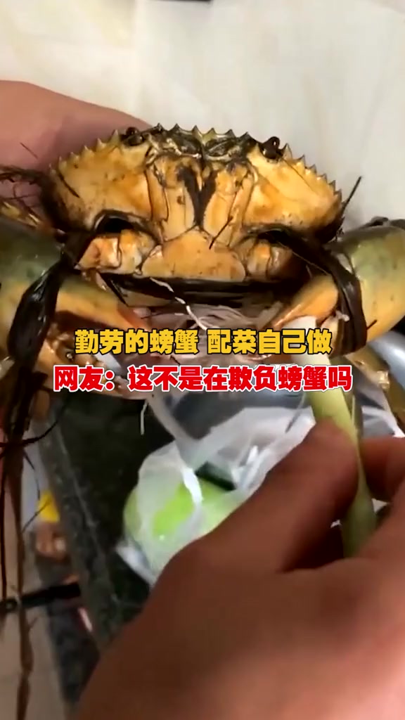 《关于螃蟹那些自己都不知道的小妙招》网友:拿着我家的葱过来排队了……年夜饭