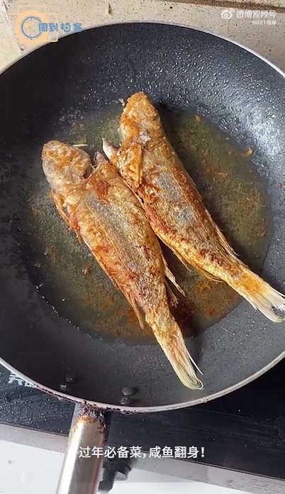 【大年初二 | 年年有“鱼”,咸鱼翻身】今天是大年初二,网友们用美食传递幸福年。今日大家都