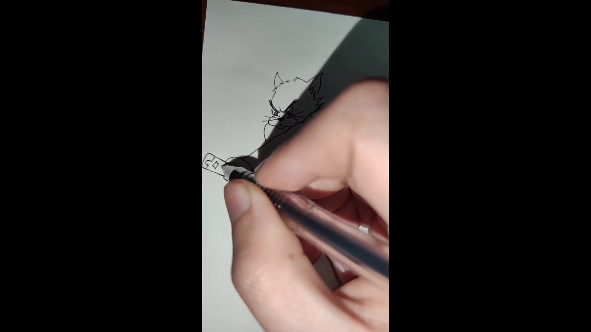 画索隆汤姆猫,看看是怎么画的