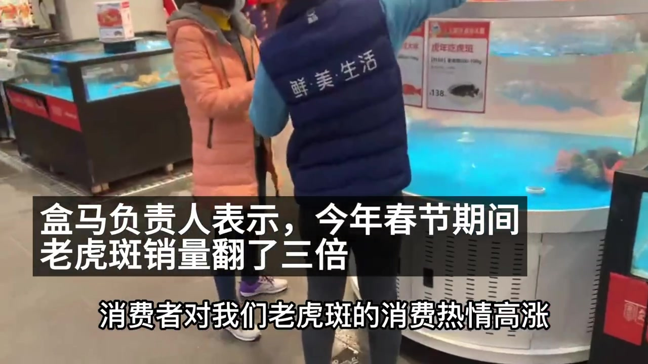 #虎年老虎斑鱼销量翻3倍#,步入虎年,老虎斑成为国人餐桌新宠。春节以来,老虎斑销量同比翻3