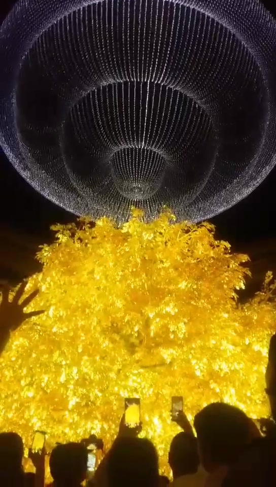 游香港观水晶发财树