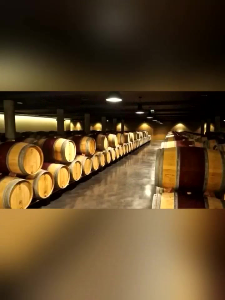 节日餐桌必备的它,如何挑选和搭配?