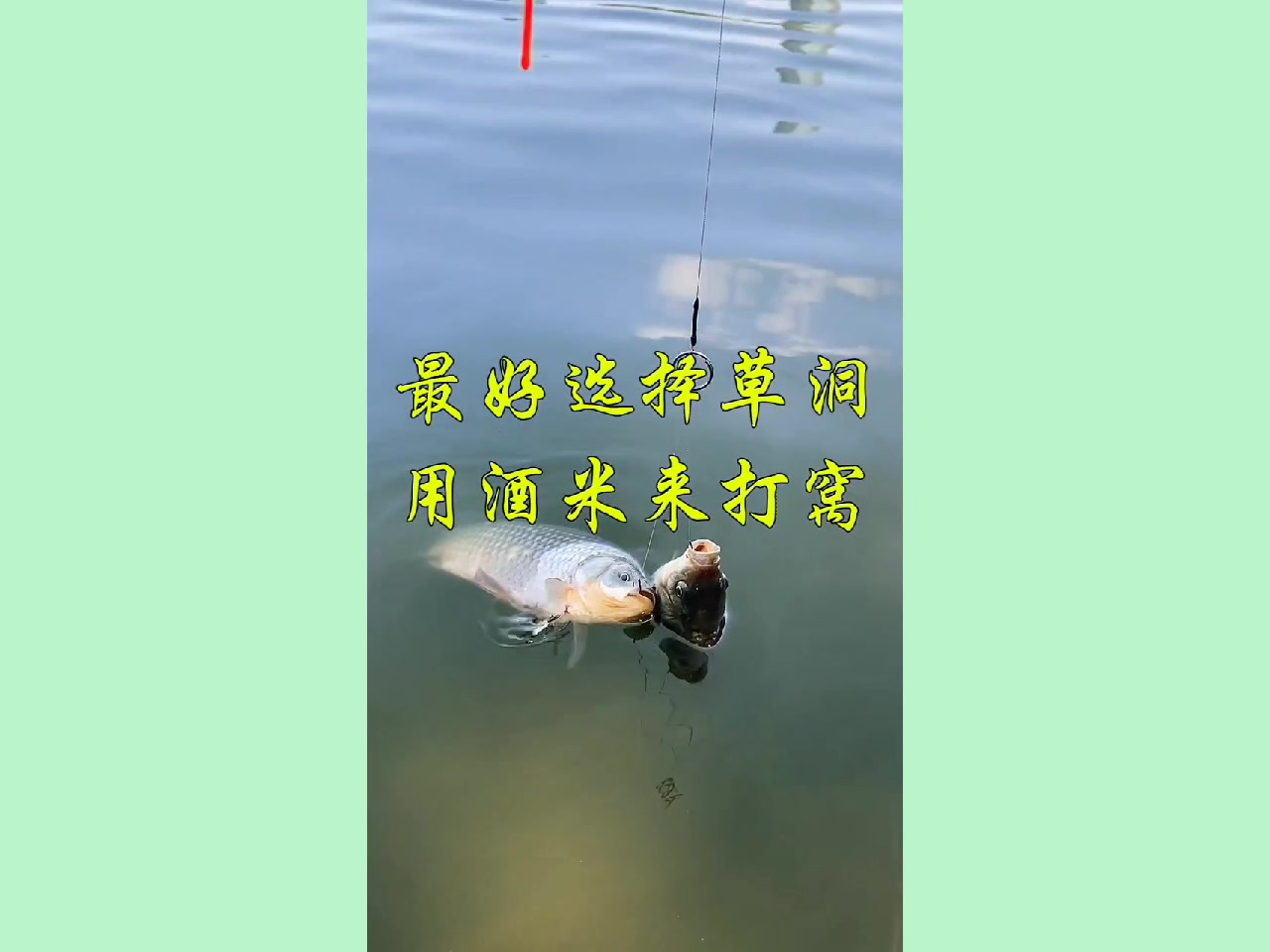 抓住冬季钓大板鲫的尾巴,这些技巧助你鱼获满满