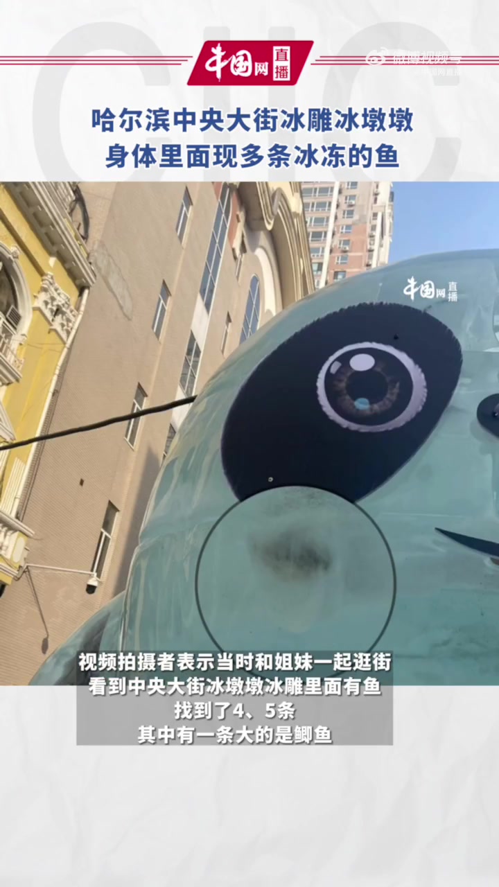 【哈尔滨中央大街冰雕冰墩墩身体里面现多条冰冻的鱼 拍摄者:找到了4、5条,感觉挺好玩的】2