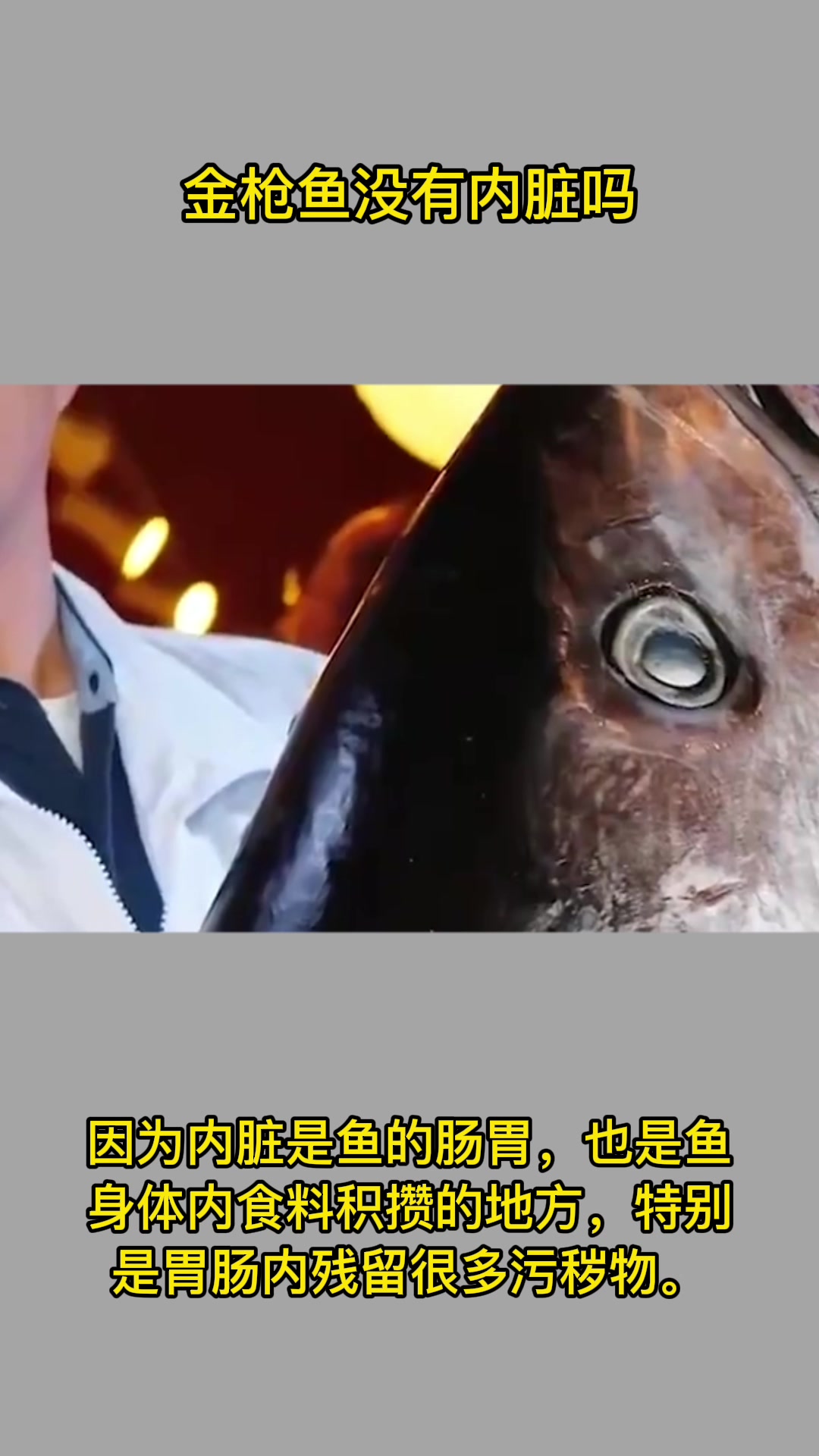 金枪鱼没有内脏吗