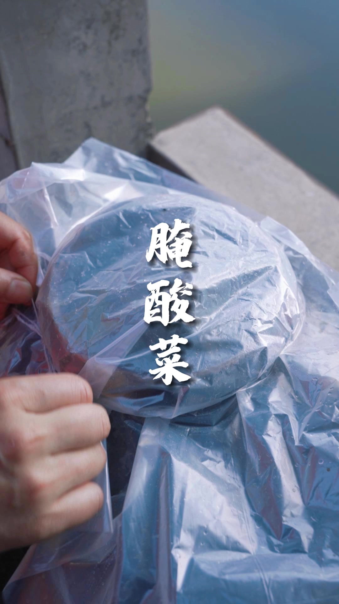 在芥菜丰收的季节,做一道鱼滑汤,腌一缸酸菜,简单又美味