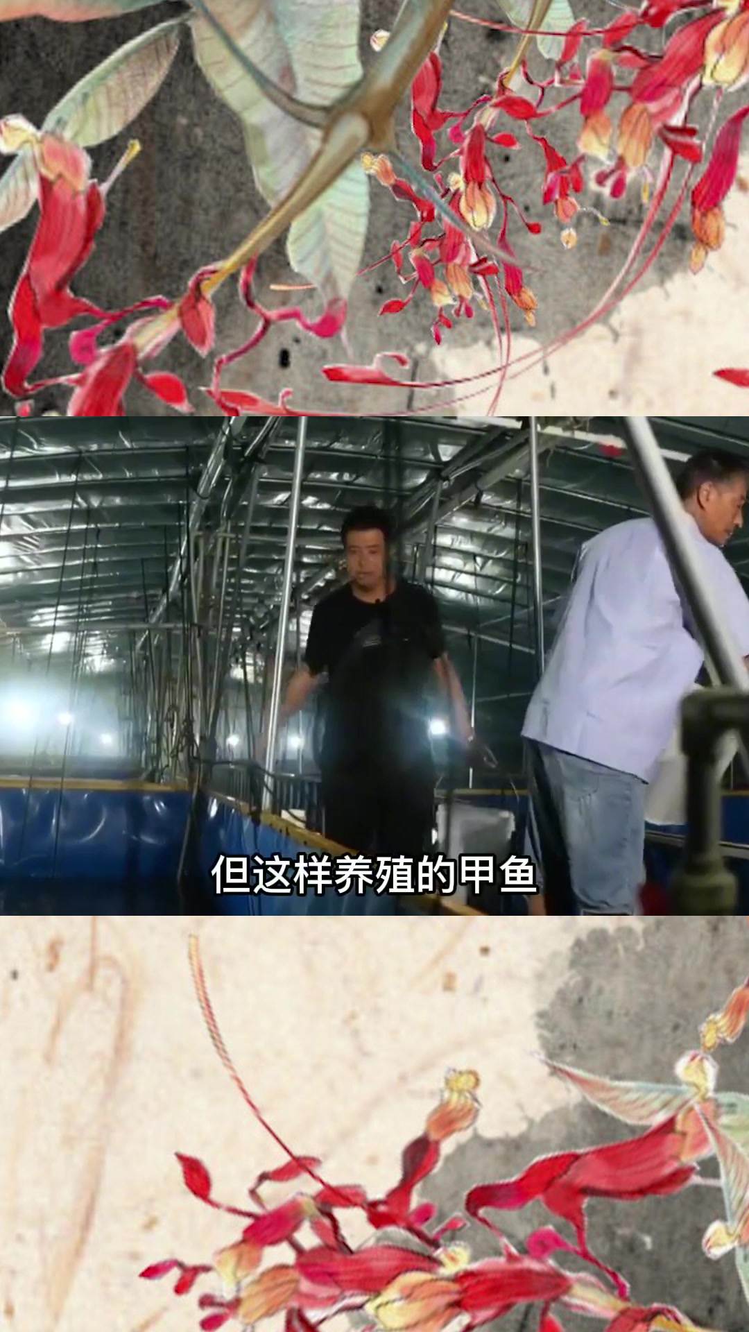 男子花大价钱养甲鱼,八千只鸭子,半个月就吃掉了
