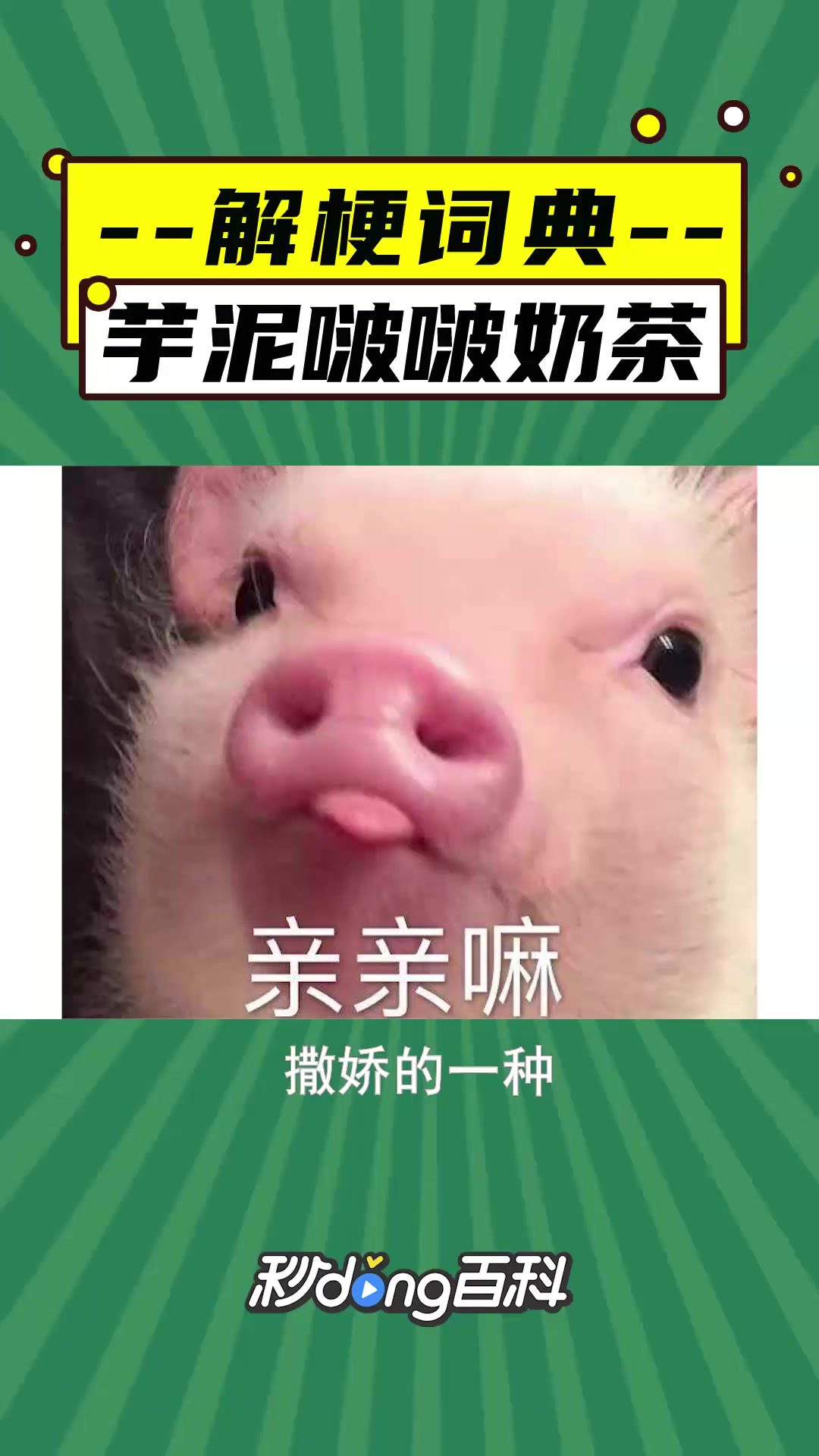 芋泥波波奶茶是什么梗?解梗词典来告诉你。