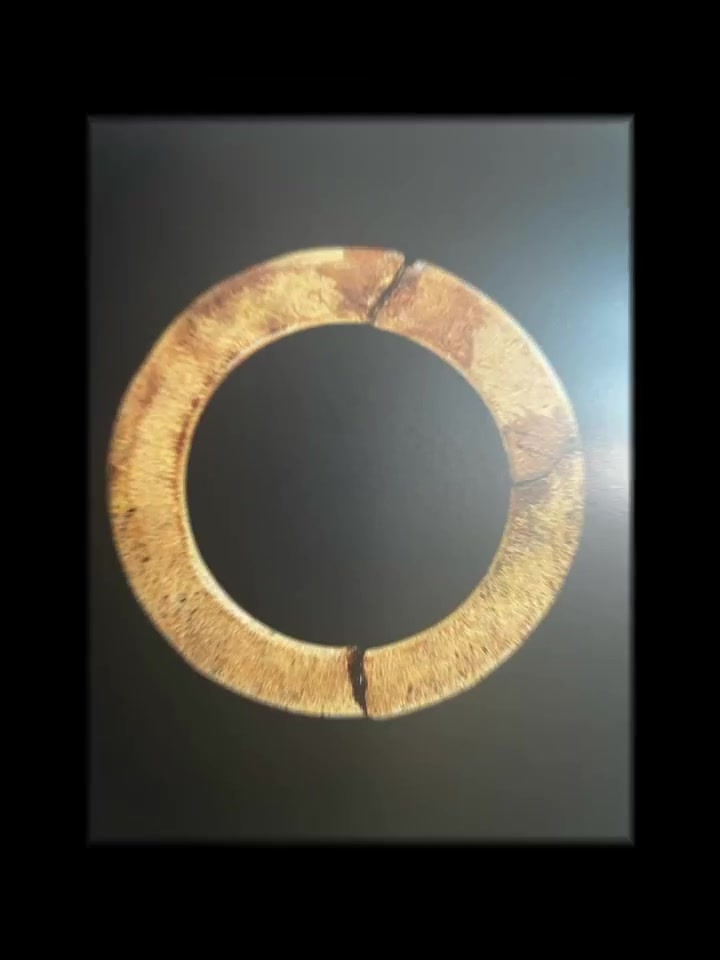 高明古耶遗址古人类:学会捕获大量鲈鱼和海鲶 或了解鱼类洄游习性