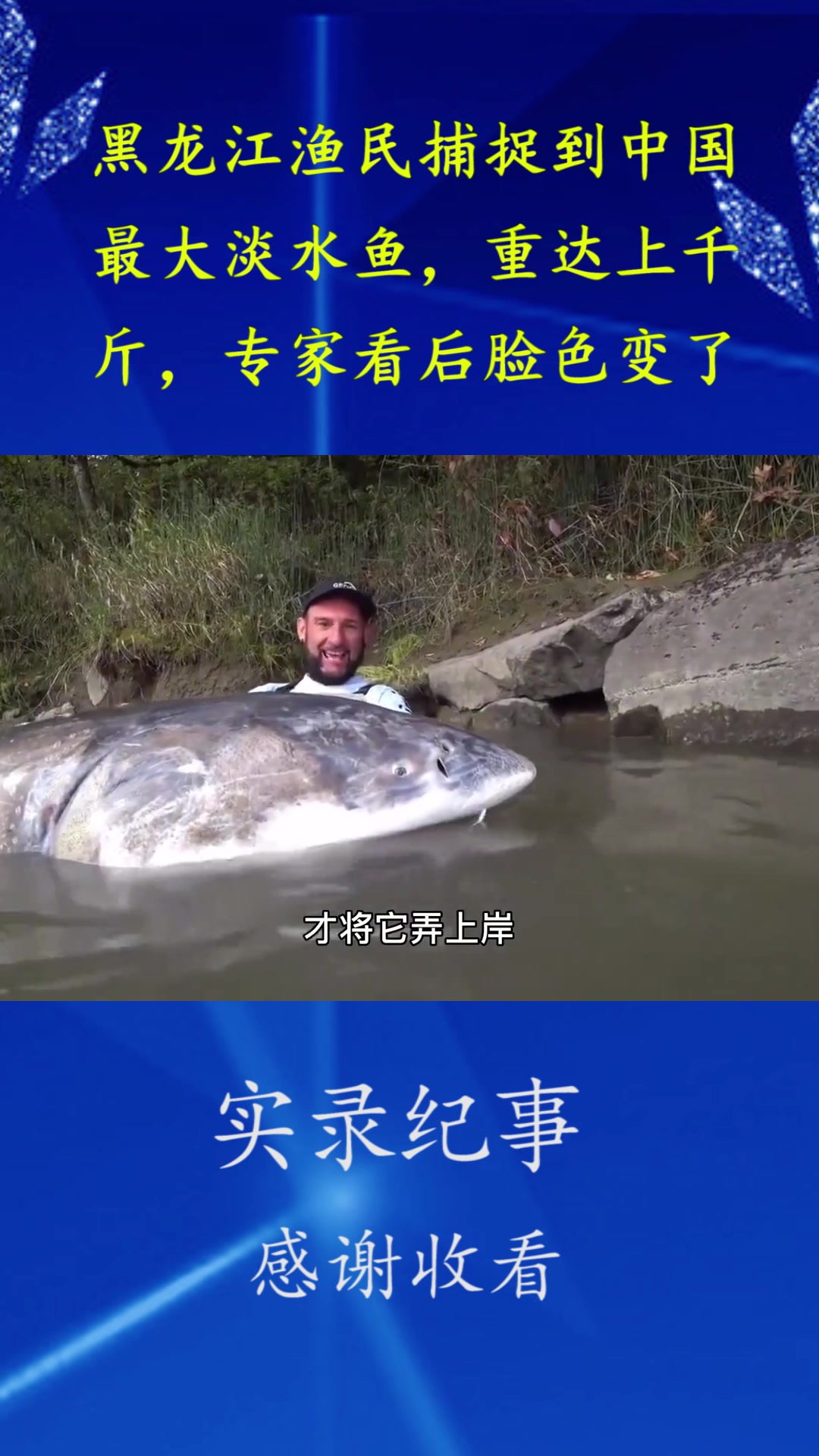黑龙江渔民捕捉到中国最大淡水鱼,重达上千斤,专家看后脸色变了