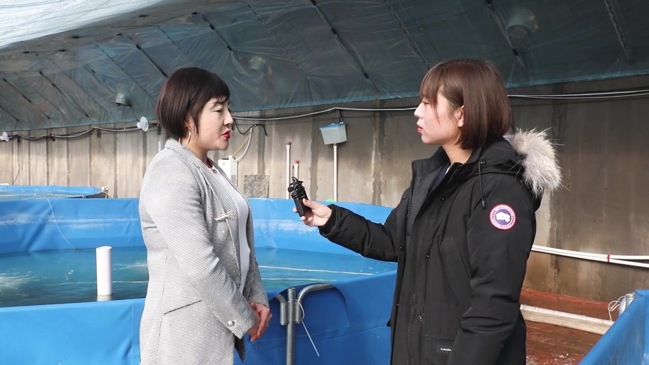 【走进乡村看小康】啥?大棚养鱼?今天带你了解一种致富新方式! 