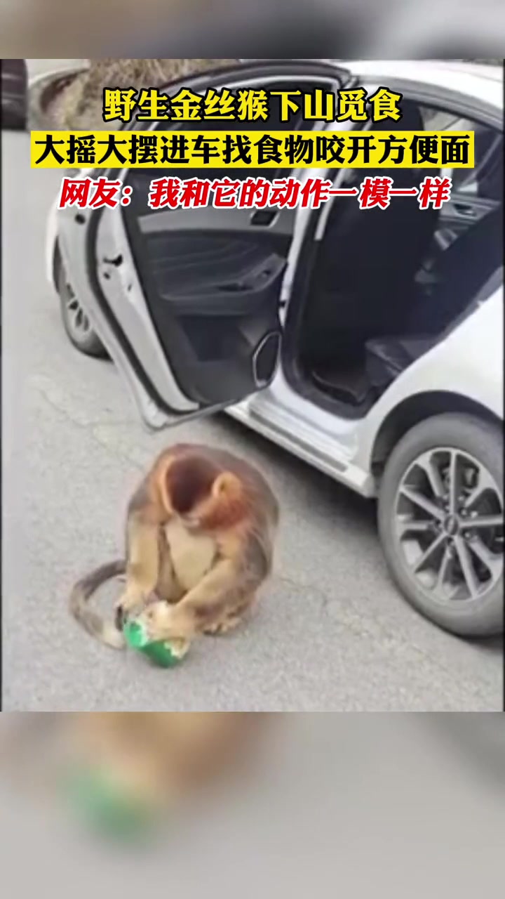 这拆方便面的动作吧,和我比起来不能说毫不相关,简直是一模一样!