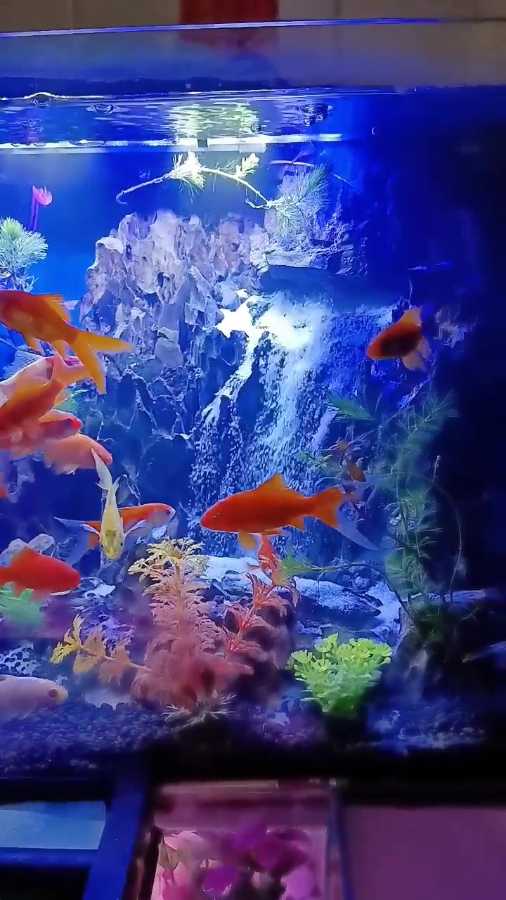 学做的第一个流沙瀑布鱼缸感觉还不错,希望大师指点
