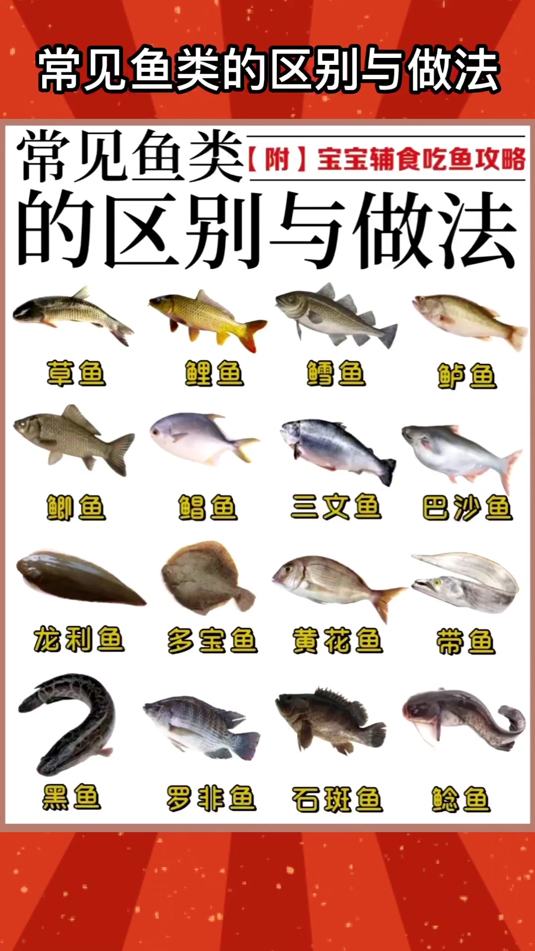 常见鱼类的区别与做法,宝宝辅食添加好方法