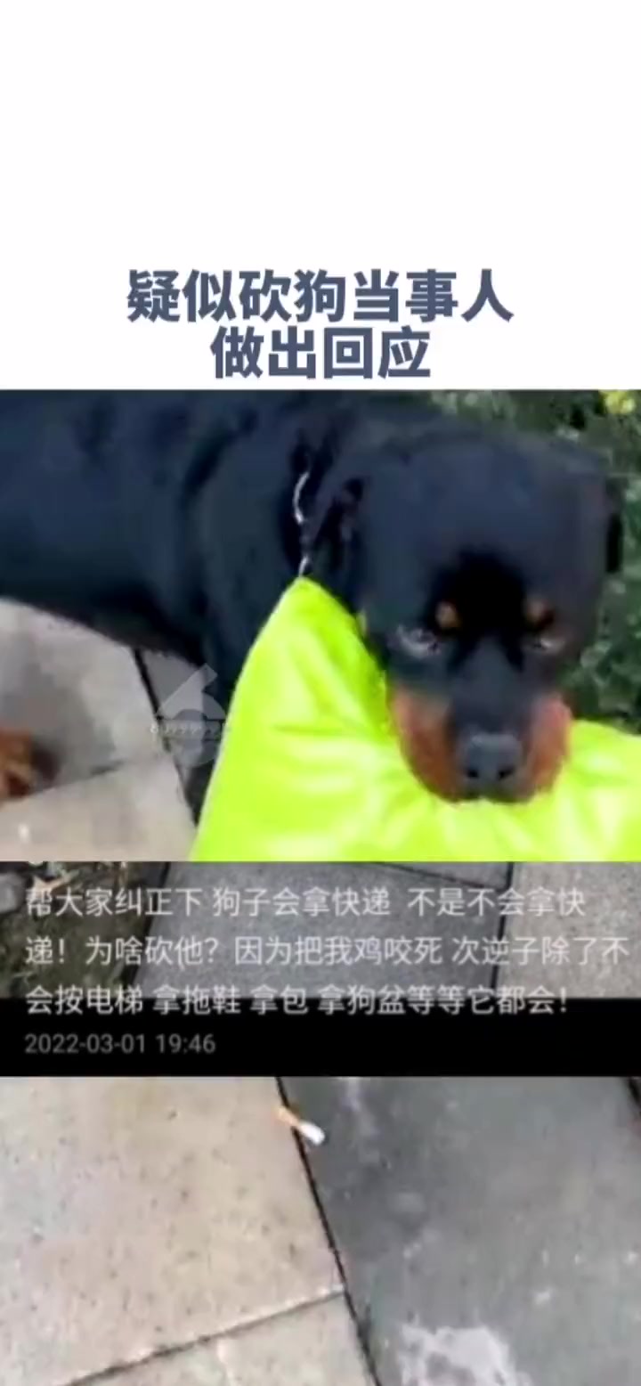 疑似当街砍狗男子发布短视频回应,称砍狗原因是宠物犬将鸡咬死,而非不会拿快递。宠物犬 宠物