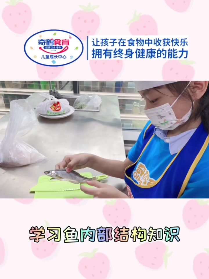 奇鹤食育儿童成长中心让孩子学习鱼儿身体结构知识