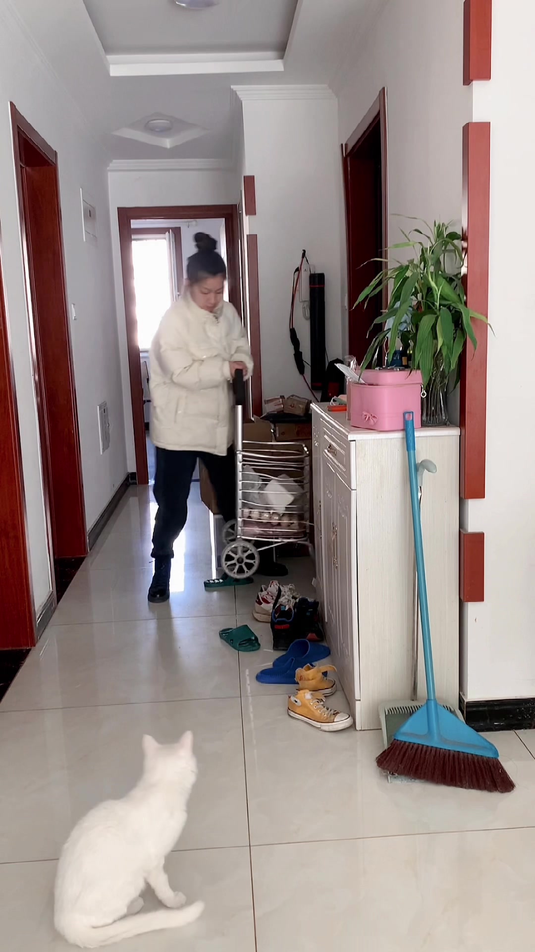 花了1000块,终于打造出了海底世界造型的鱼缸