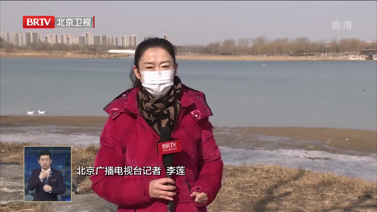 【北京今春十余处水域化身天鹅湖】浅山如黛,碧波粼粼,几十只优雅的白天鹅,偏偏降临在经开区的