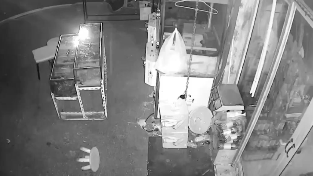 【男子嘴馋偷瓜子嘴巴嗑到肿】近日,安徽省马鞍山市公安局花山公安分局塘西派出所民警接到辖区一