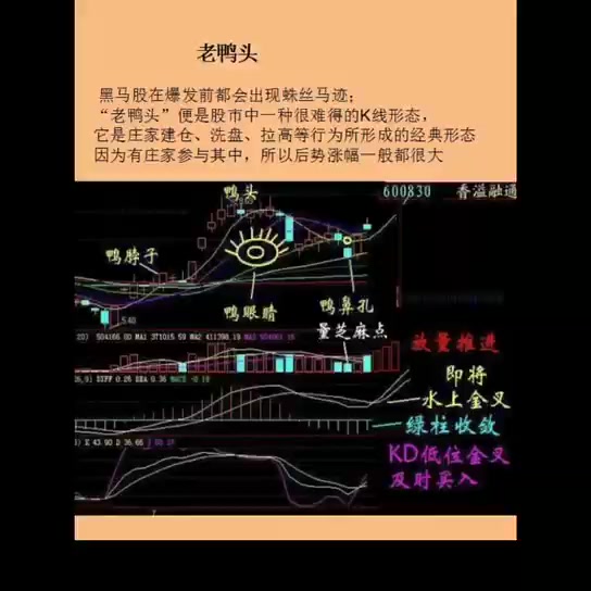 中国股市千金难买老鸭头形态,一旦出现坐等主力拉升!